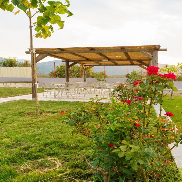 Ioannina Camping Glamping